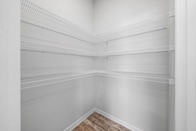 148 Victory Cir, Ashland City, TN 37015 - view of pantry