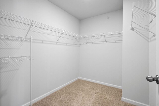 148 Victory Cir, Ashland City, TN 37015 - spacious closet with carpet