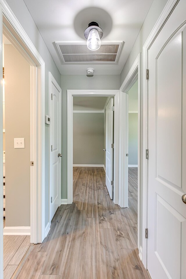 205 Carpenter St, Mount Pleasant, TN 38474 - photo 13