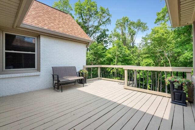 313 Fairway Dr, Clarksville, TN 37043 - photo 25