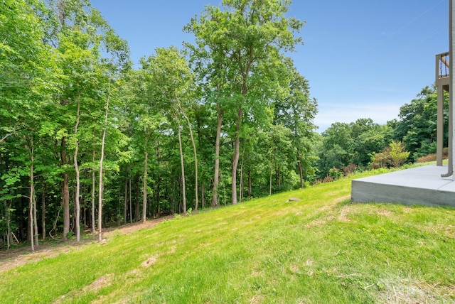 313 Fairway Dr, Clarksville, TN 37043 - photo 62