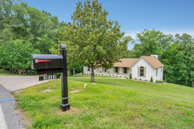 313 Fairway Dr, Clarksville, TN 37043 - photo 63