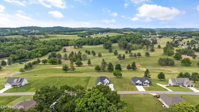 354 Fairway Dr, Dandridge, TN 37725 - photo 41