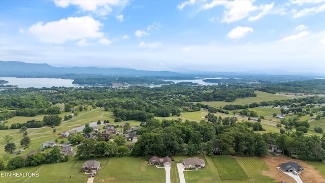 354 Fairway Dr, Dandridge, TN 37725 - photo 43