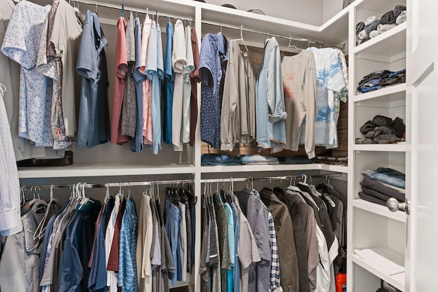 290 Academy Rd, Lebanon, TN 37087 - view of spacious closet