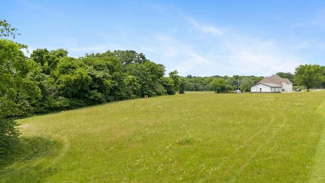 290 Academy Rd, Lebanon, TN 37087 - view of yard
