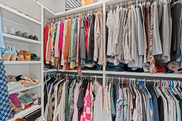 290 Academy Rd, Lebanon, TN 37087 - view of walk in closet