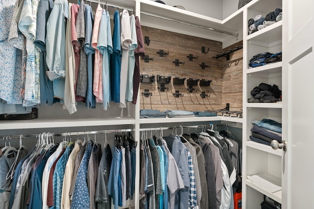 290 Academy Rd, Lebanon, TN 37087 - view of spacious closet