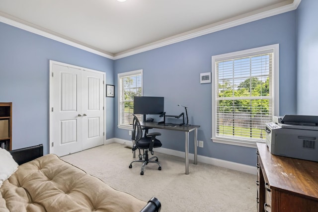 2090 Lequire Ln, Spring Hill, TN 37174 - carpeted home office featuring crown molding and baseboards