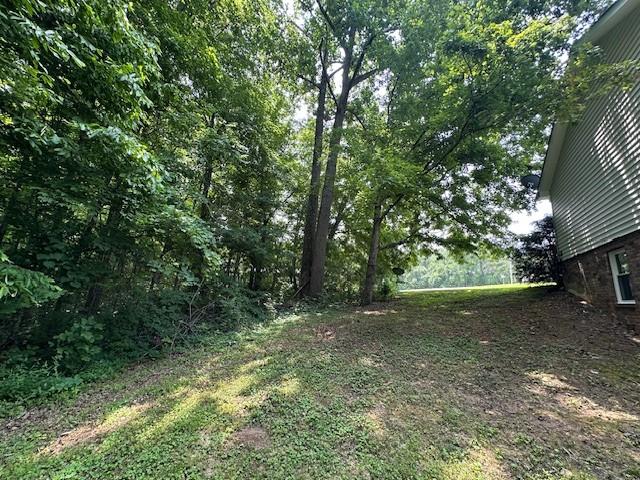 807 Poplar Dr, Centerville, TN 37033 - view of yard