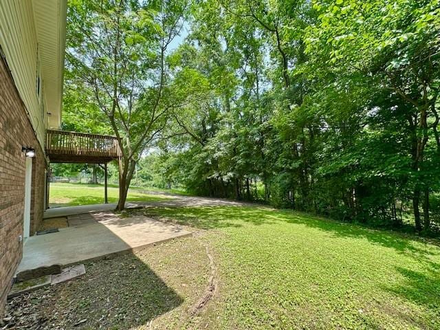 807 Poplar Dr, Centerville, TN 37033 - view of green lawn with a patio area