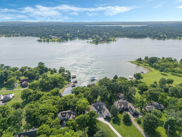 238 Lake Terrace Dr, Hendersonville, TN 37075 - photo 40