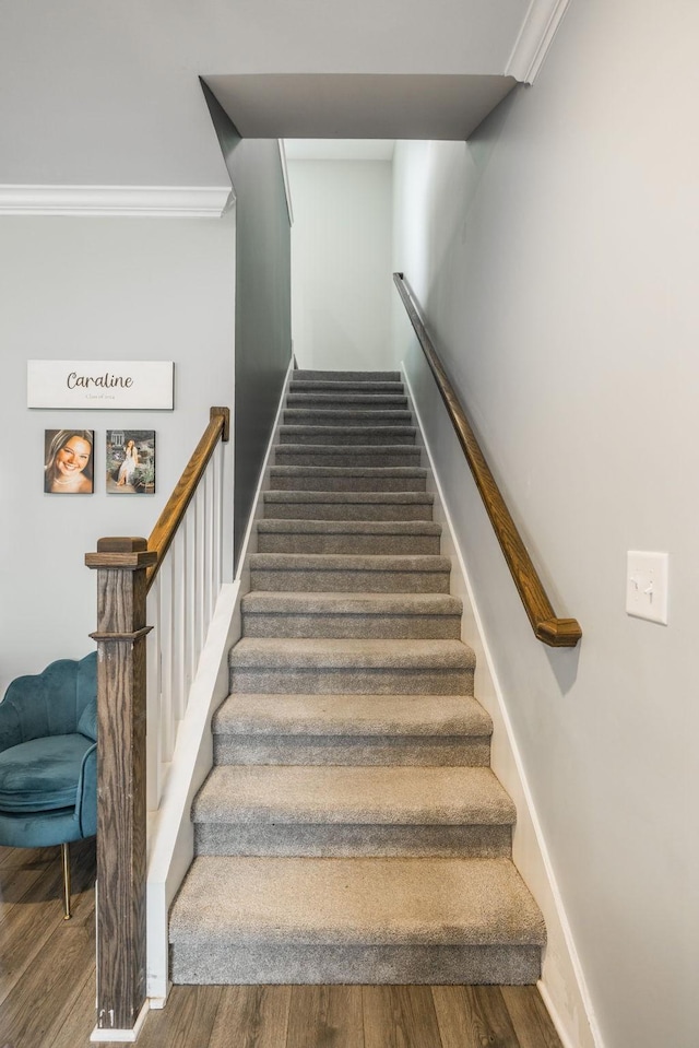 1110 Colonel Reuben Searcy Ct, Murfreesboro, TN 37129 - staircase featuring wood finished floors, baseboards, and ornamental molding