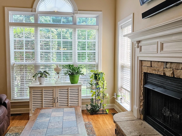 4015 Sleepyhollow Way, Mount Juliet, TN 37122 - detailed view of a stone fireplace, wood finished floors, and baseboards