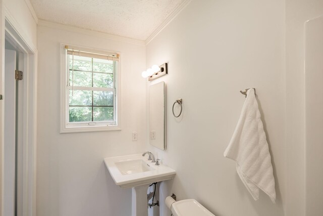 1056 Cragfront Est Loop, Gallatin, TN 37066 - photo 43
