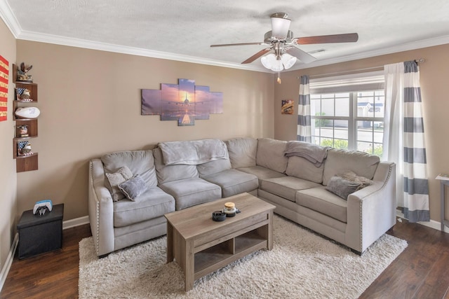 2541 Jackalope St, Murfreesboro, TN 37130 - living area with wood finished floors, ceiling fan, crown molding, and baseboards