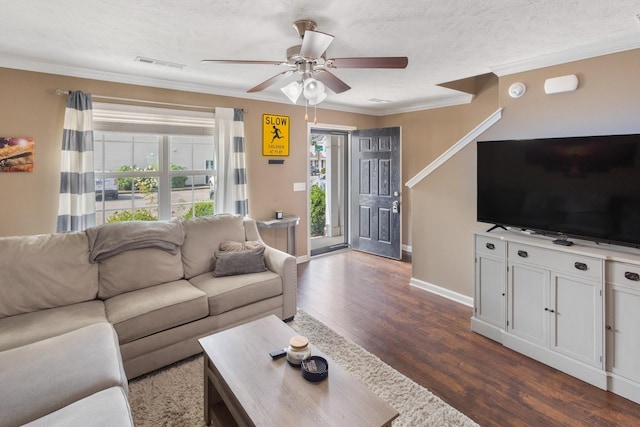 2541 Jackalope St, Murfreesboro, TN 37130 - living room featuring plenty of natural light, dark wood-type flooring, a ceiling fan, crown molding, and baseboards