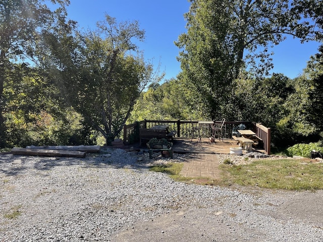 2449 Buffalo Rd, Lawrenceburg, TN 38464 - view of yard