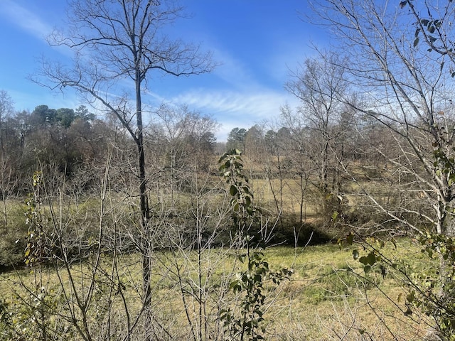 2449 Buffalo Rd, Lawrenceburg, TN 38464 - view of local wilderness