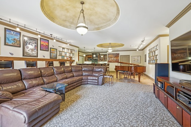 226 Hidden Harbour Dr, Mount Juliet, TN 37122 - living room featuring track lighting, crown molding, and billiards table