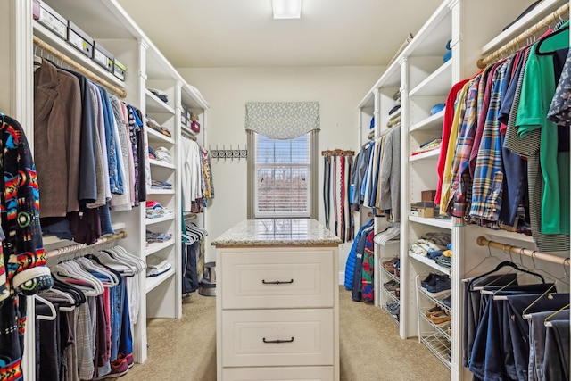 226 Hidden Harbour Dr, Mount Juliet, TN 37122 - walk in closet featuring light colored carpet