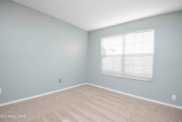 813 Calypso Way Unit 10, Knoxville, TN 37923 - photo 32