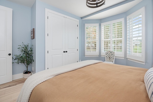 7546 Delancey Dr, College Grove, TN 37046 - bedroom featuring light wood-type flooring, a closet, and baseboards