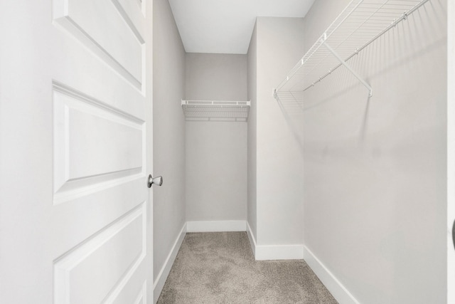 1081 Wells Way, Spring Hill, TN 37174 - spacious closet featuring carpet flooring