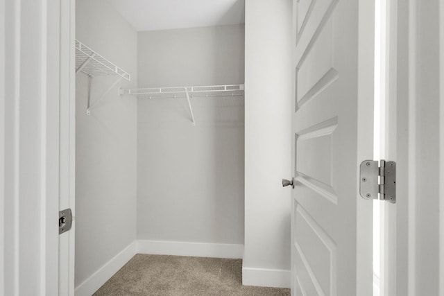 1081 Wells Way, Spring Hill, TN 37174 - spacious closet featuring carpet