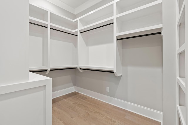 724 Bradshaw Rd, Lebanon, TN 37087 - walk in closet featuring light wood finished floors