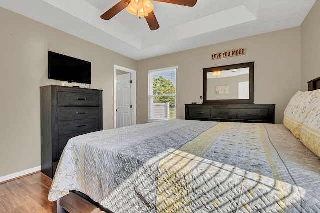 1545 Carthage Hwy, Lebanon, TN 37087 - bedroom featuring a tray ceiling, wood finished floors, baseboards, and a ceiling fan