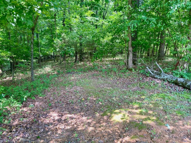 507 Whirlaway Ct, Burns, TN 37029 - view of local wilderness