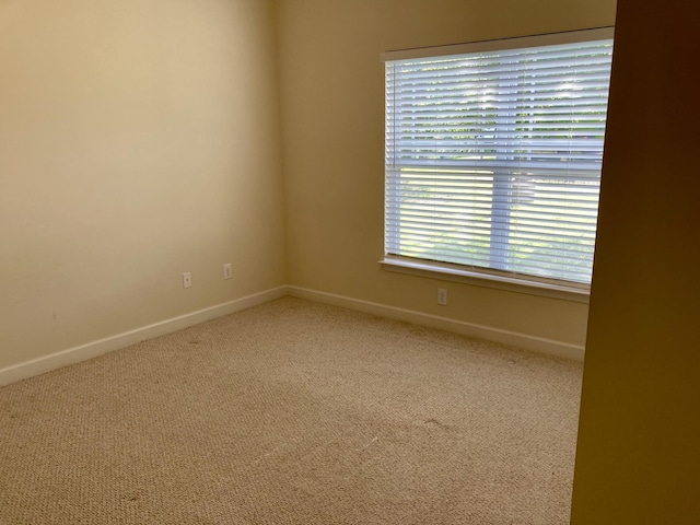 507 Whirlaway Ct, Burns, TN 37029 - empty room with carpet and baseboards