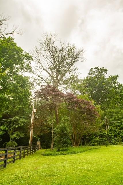 692 Tanglewood Dr, Woodbury, TN 37190 - photo 18