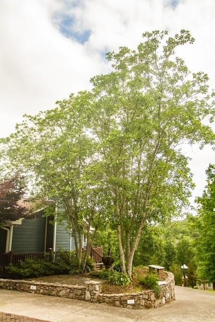 692 Tanglewood Dr, Woodbury, TN 37190 - photo 6