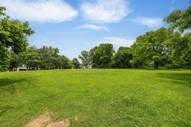 507 Arbor Dr, Franklin, TN 37069 - photo 33