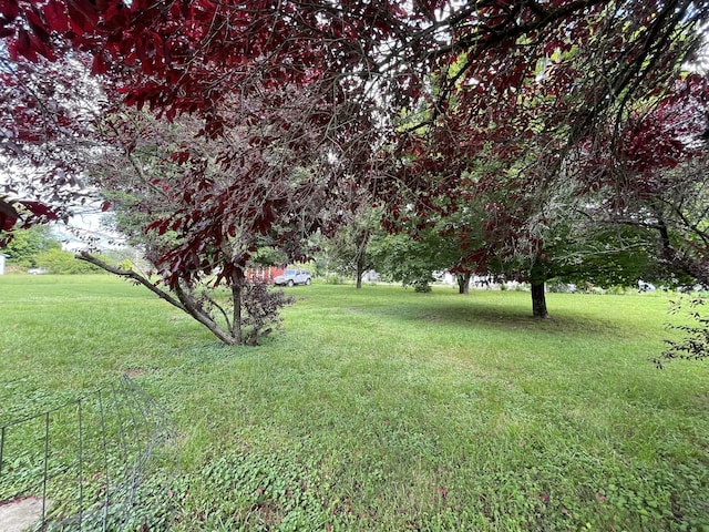 1004 E Railroad St, Waverly, TN 37185 - view of green lawn