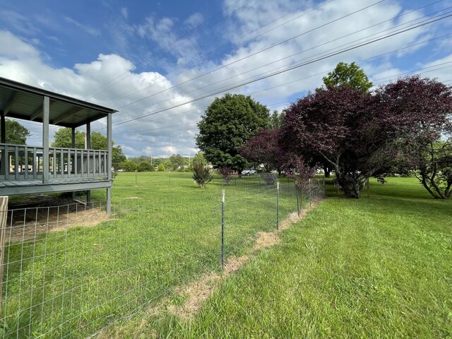 1004 E Railroad St, Waverly, TN 37185 - view of green lawn