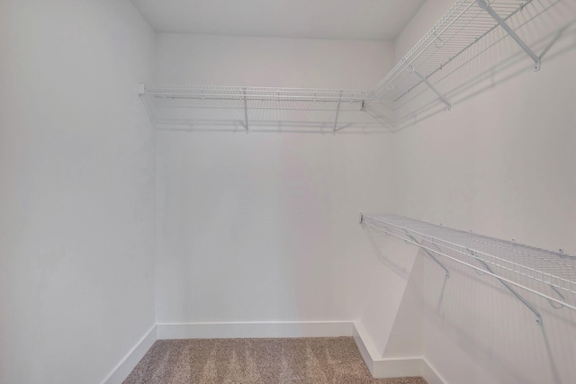1038 Camden Trl, Greenbrier, TN 37073 - walk in closet featuring light colored carpet