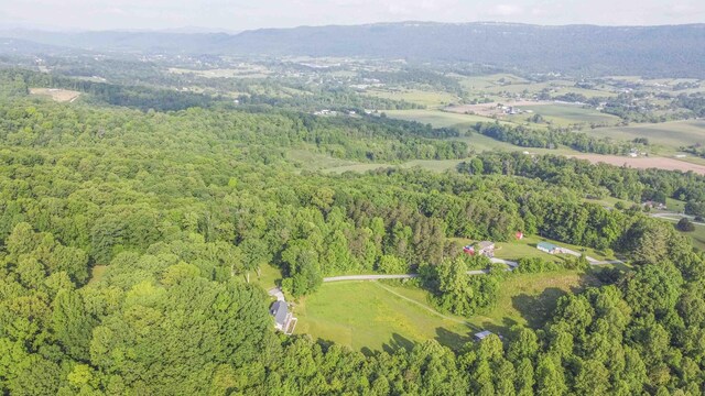 813 Stiner Ln, La Follette, TN 37766 - view of property location with a forest