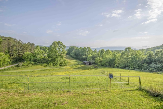 813 Stiner Ln, La Follette, TN 37766 - view of yard with a rural view and a forest view