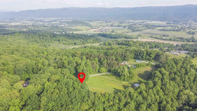 813 Stiner Ln, La Follette, TN 37766 - view of property location featuring a heavily wooded area