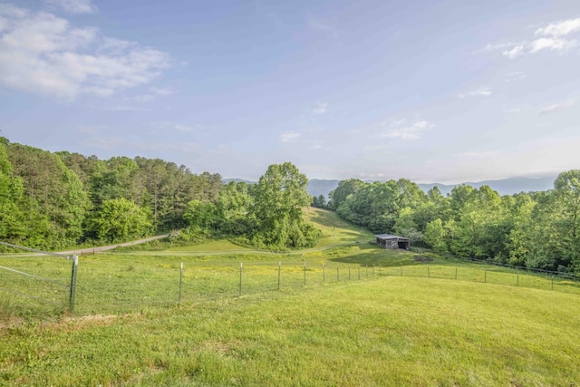 813 Stiner Ln, La Follette, TN 37766 - view of yard with a rural view and a forest view