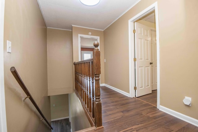 813 Stiner Ln, La Follette, TN 37766 - staircase featuring wood finished floors, baseboards, and ornamental molding