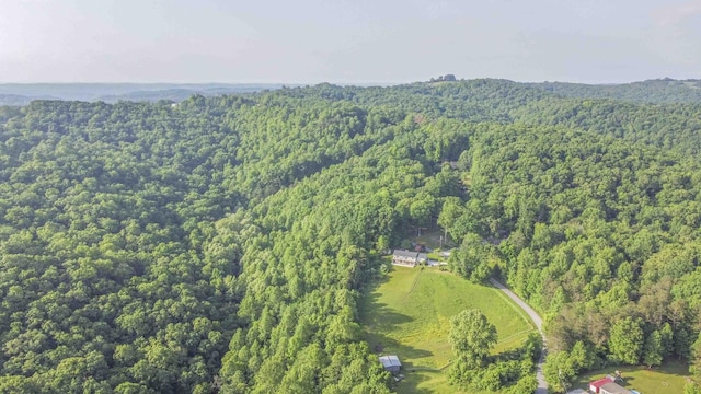 813 Stiner Ln, La Follette, TN 37766 - aerial view of property's location with a heavily wooded area