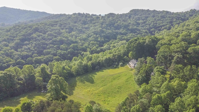 813 Stiner Ln, La Follette, TN 37766 - bird's eye view of a heavily wooded area and a mountain backdrop