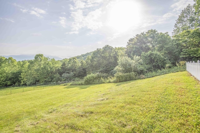 813 Stiner Ln, La Follette, TN 37766 - view of yard featuring a view of countryside and a view of trees