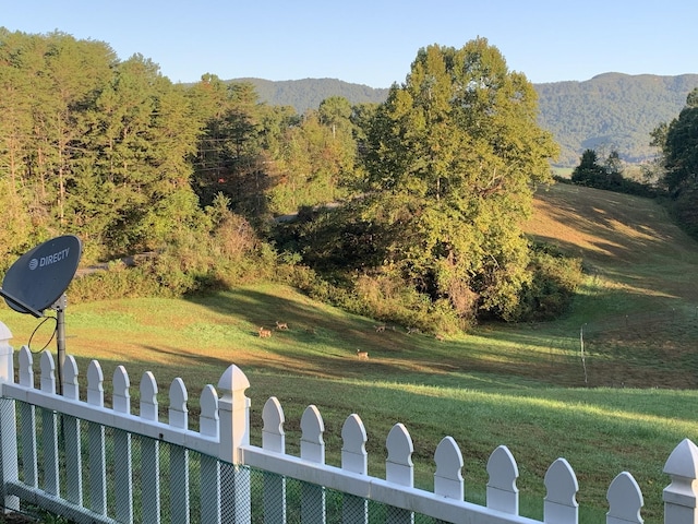 813 Stiner Ln, La Follette, TN 37766 - mountain view with a forest