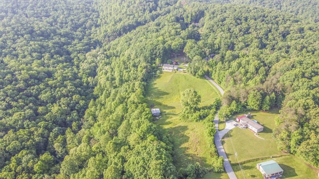 813 Stiner Ln, La Follette, TN 37766 - aerial view of property's location with a forest