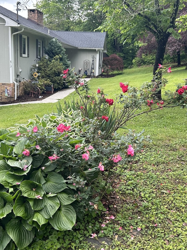 813 Stiner Ln, La Follette, TN 37766 - view of grassy yard